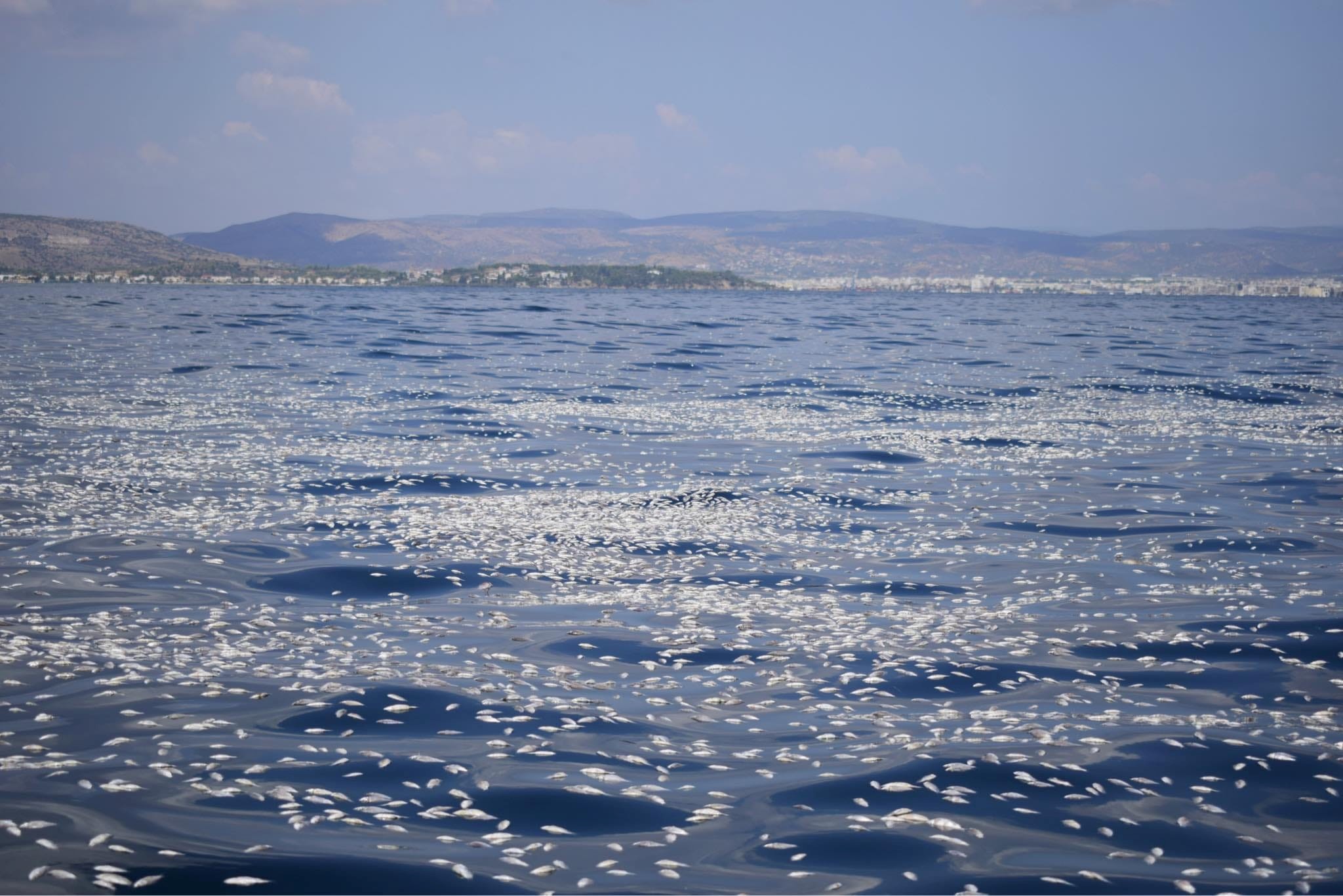 Προσωρινή υποστολή γαλάζιων σημαιών σε 6 από τις 11 ακτές